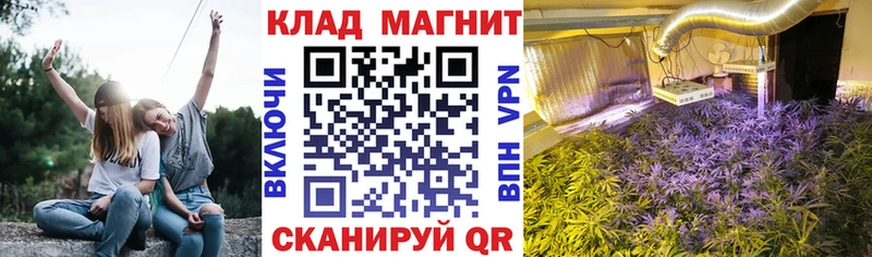 Купить закладку АМФ Мефедрон КОКАИН Псилоцибиновые грибы Alpha-PVP Берёзовский