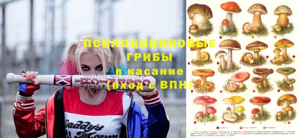 кокс Инта